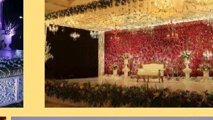 Reception Floral Wall Stage - Chana Jor Garam Artist Booking India